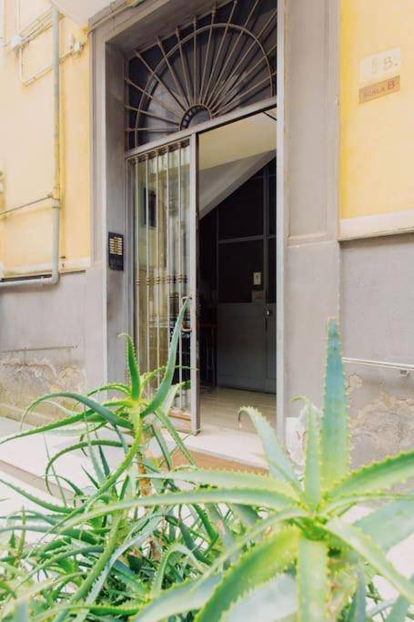 Mann House Napoliアパートメント エクステリア 写真